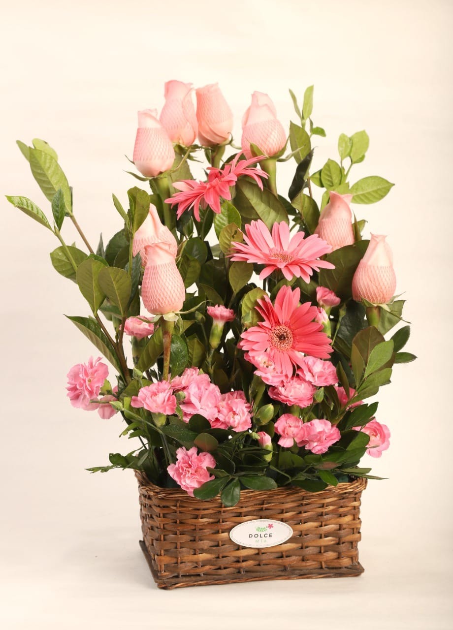 bacbf166-a69e-451e-9699-88cca4d34ca9